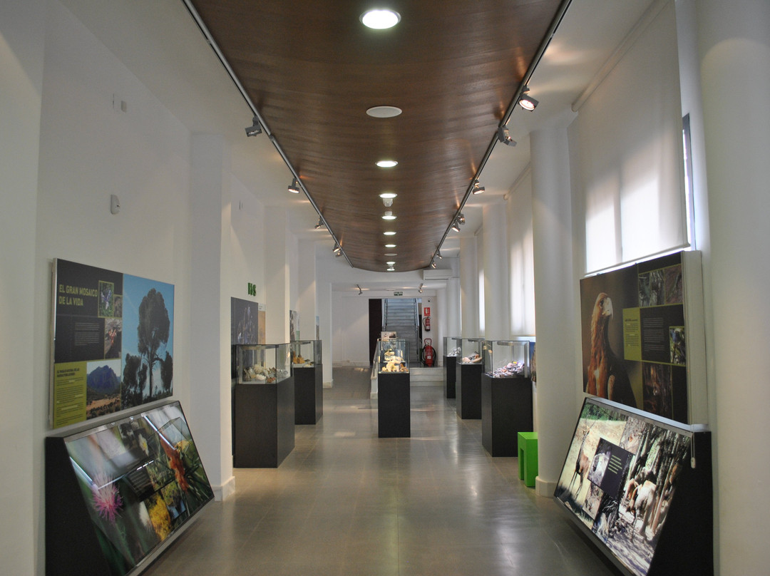 Museo de La Carolina-La Carolina必去景点
