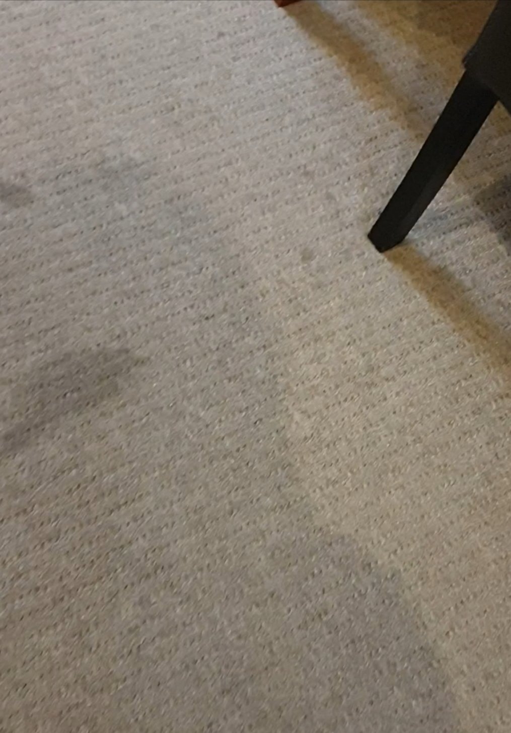 最佳西方莫宁顿布鲁克兰酒店-官方
