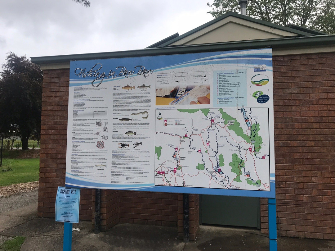 Noojee Picnic Grounds-Noojee必去景点