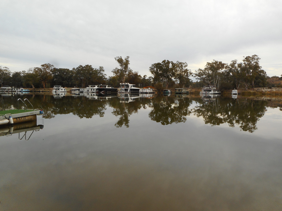 River Murray Ferries景点图片