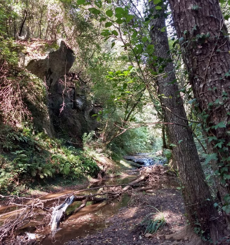 Cascata di Castel Giuliano - Cascata della Mola景点图片