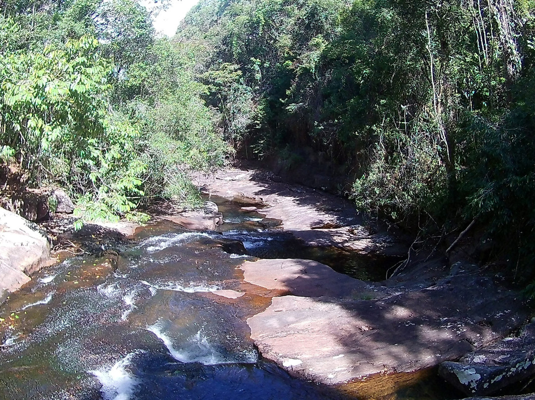 Jardim de Gaia景点图片