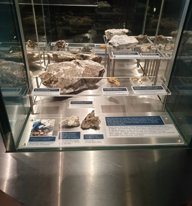 Porthcawl Museum景点图片