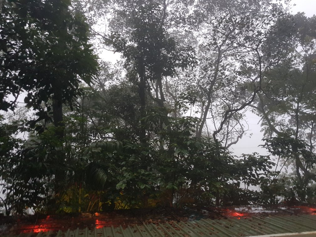 Glass Rooms Accommodations Adam's Peak主图