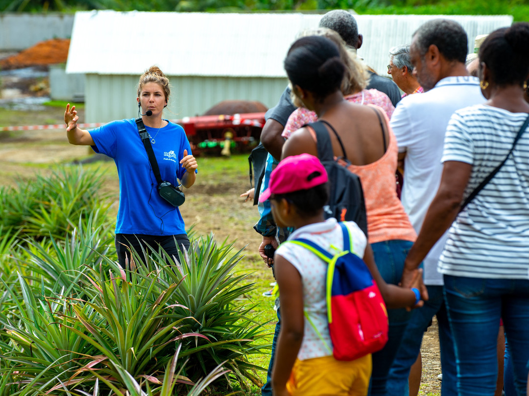 Royal Jus et Confitures de Fruits Tropicaux