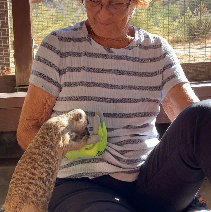 Fellow Earthlings Wildlife Center景点图片