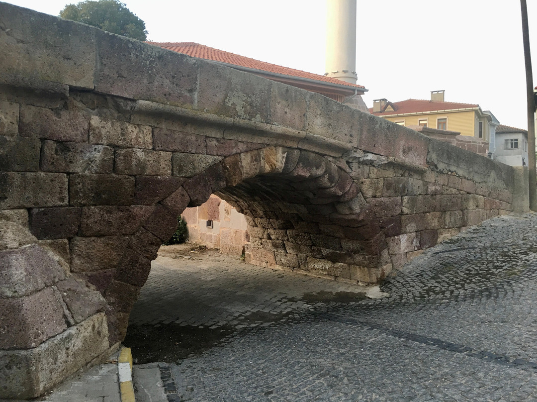 Tas Kopru景点图片