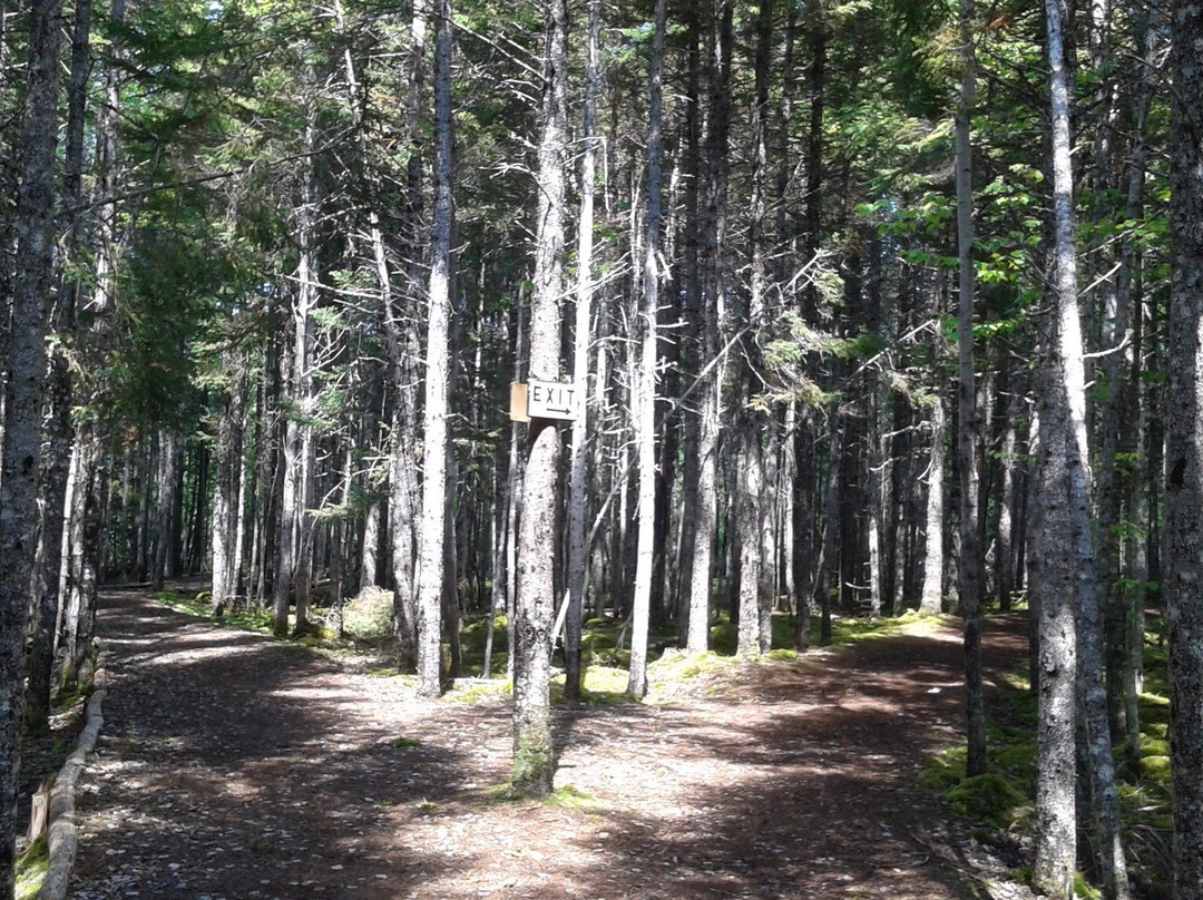 Carmanville Wetlands Interpretation Centre and Nature Trail-Carmanville必去景点