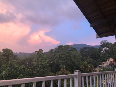 Bee View Home Stay主图