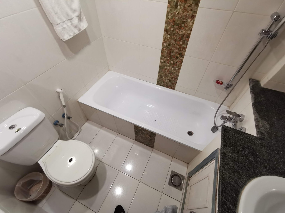 Hotel De Papae主图