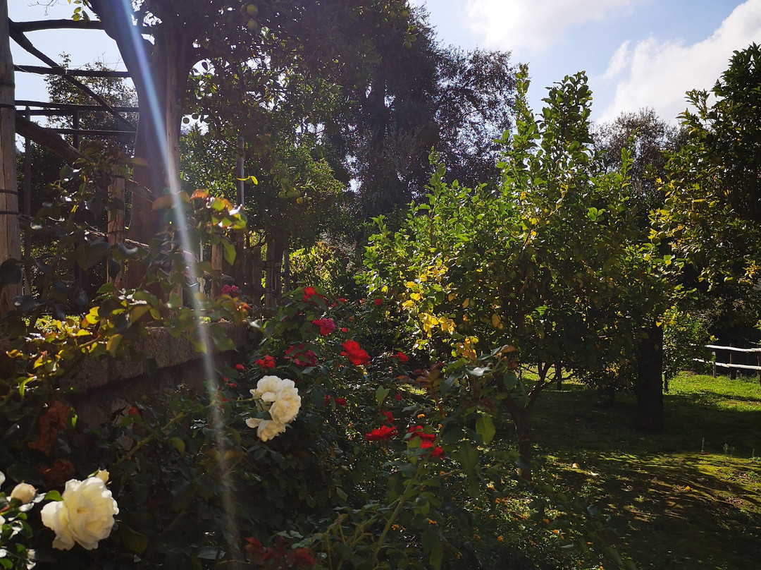 Meta旅游攻略图片