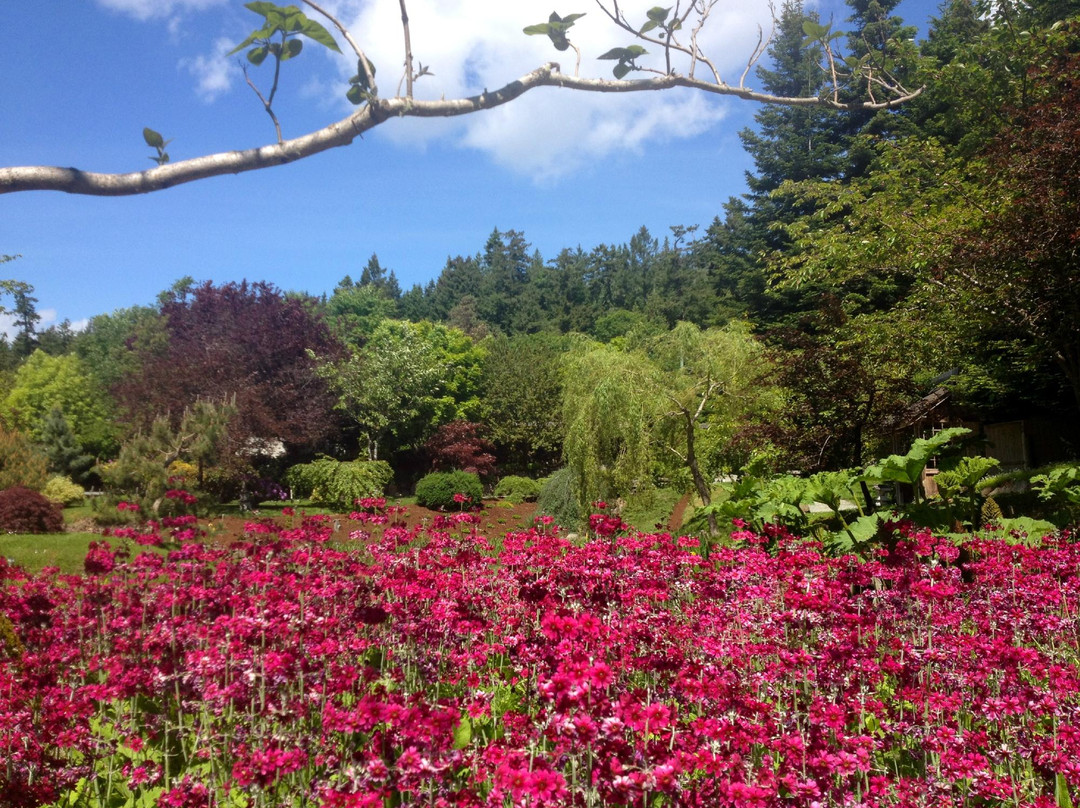 Mayne Island旅游景点-Japanese Garden