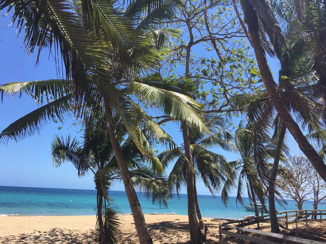 Mayotte Océan-Dzaoudzi必去景点