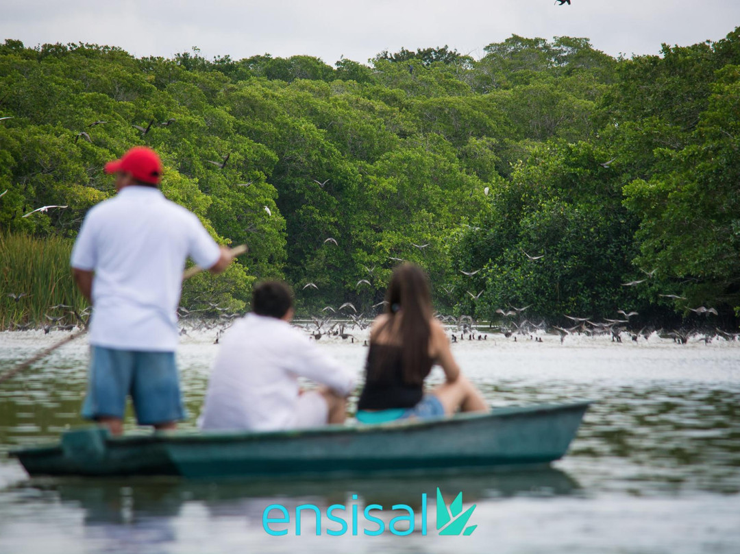 Ensisal Tours-Sisal必去景点