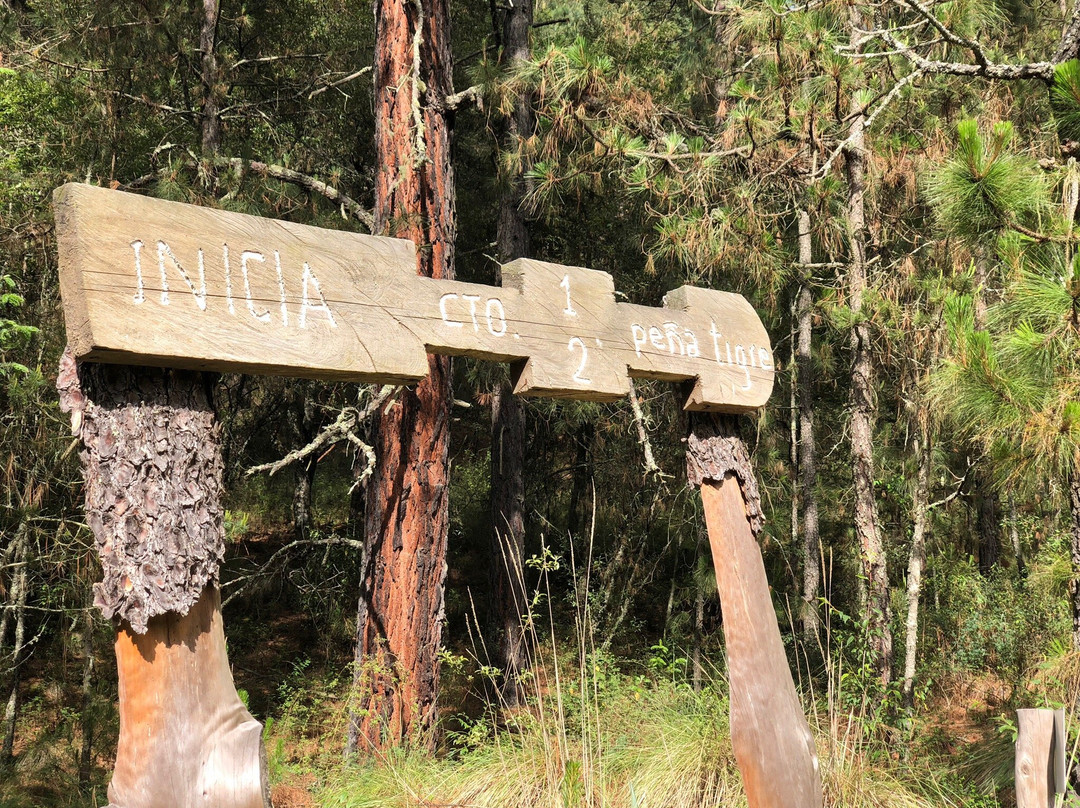 Villas Del Bosque Santa Elena