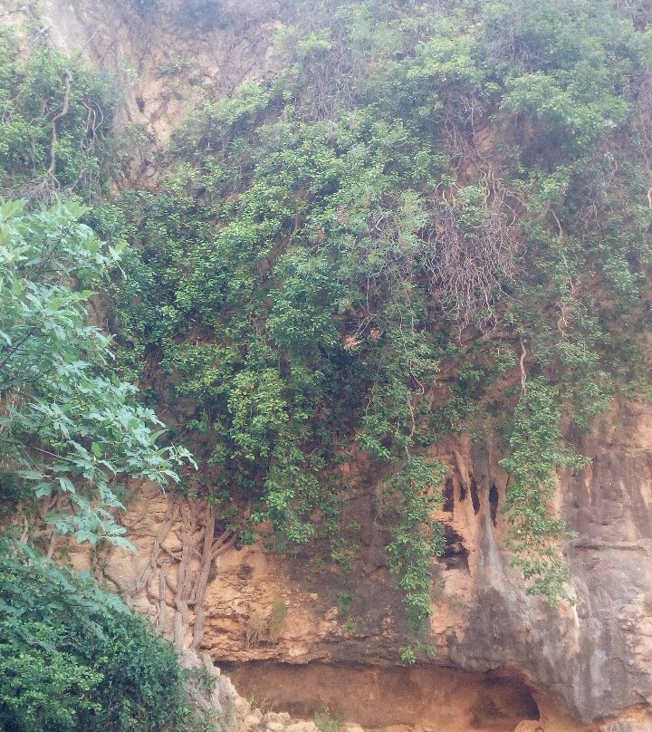 Caglayan Vadisi景点图片