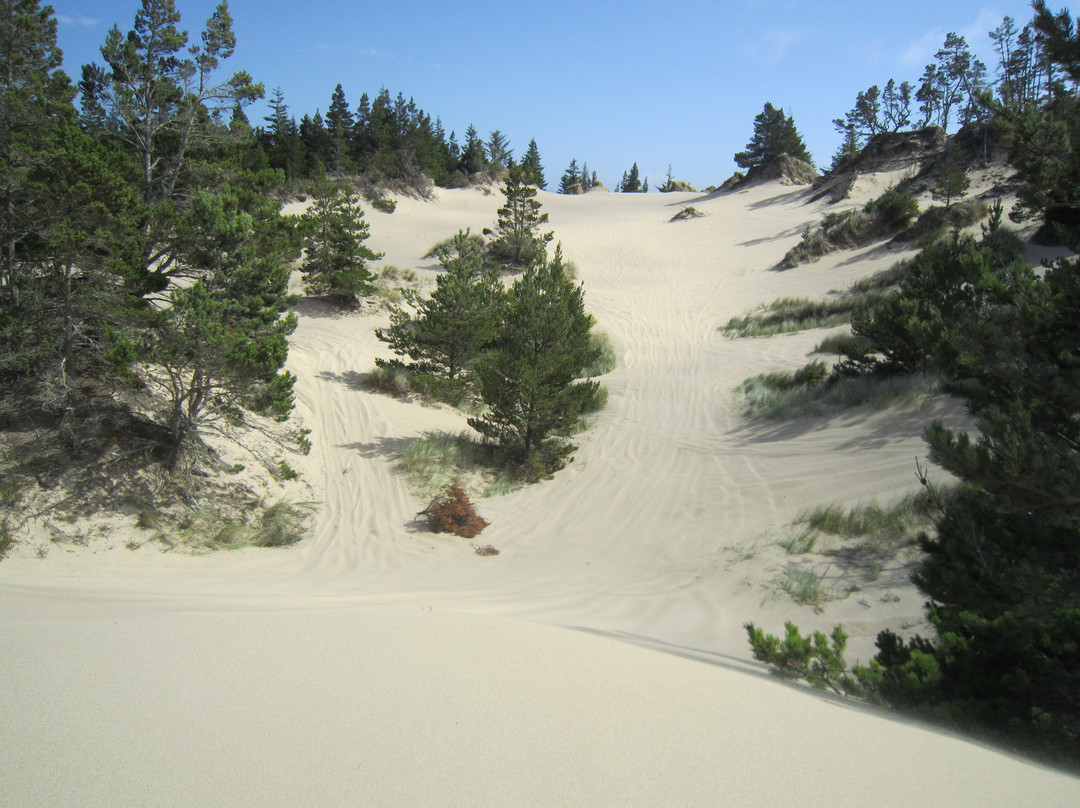 Dune Bugs ATV Tours景点图片