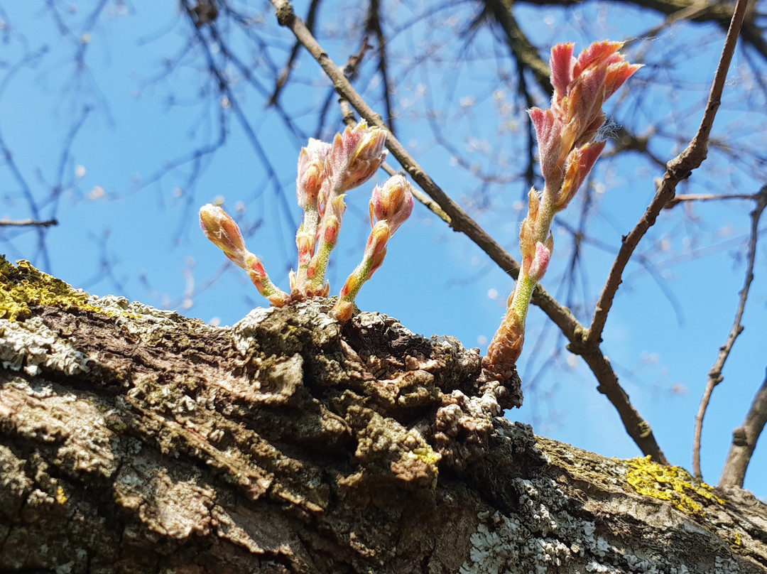 Monte Tuscolo-Monte Porzio Catone必去景点