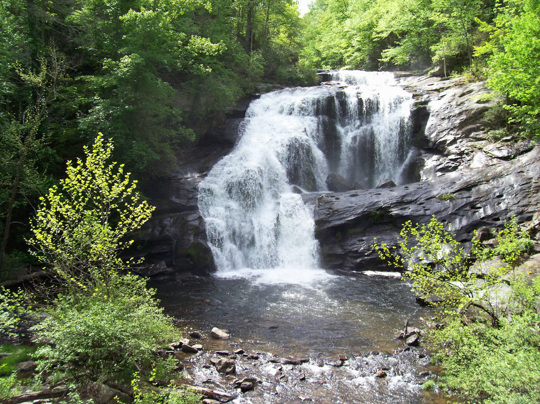 Cherohala Skyway景点图片