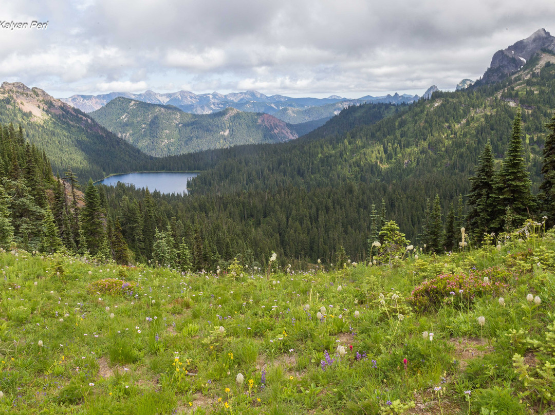 Tipsoo Lake Loop景点图片