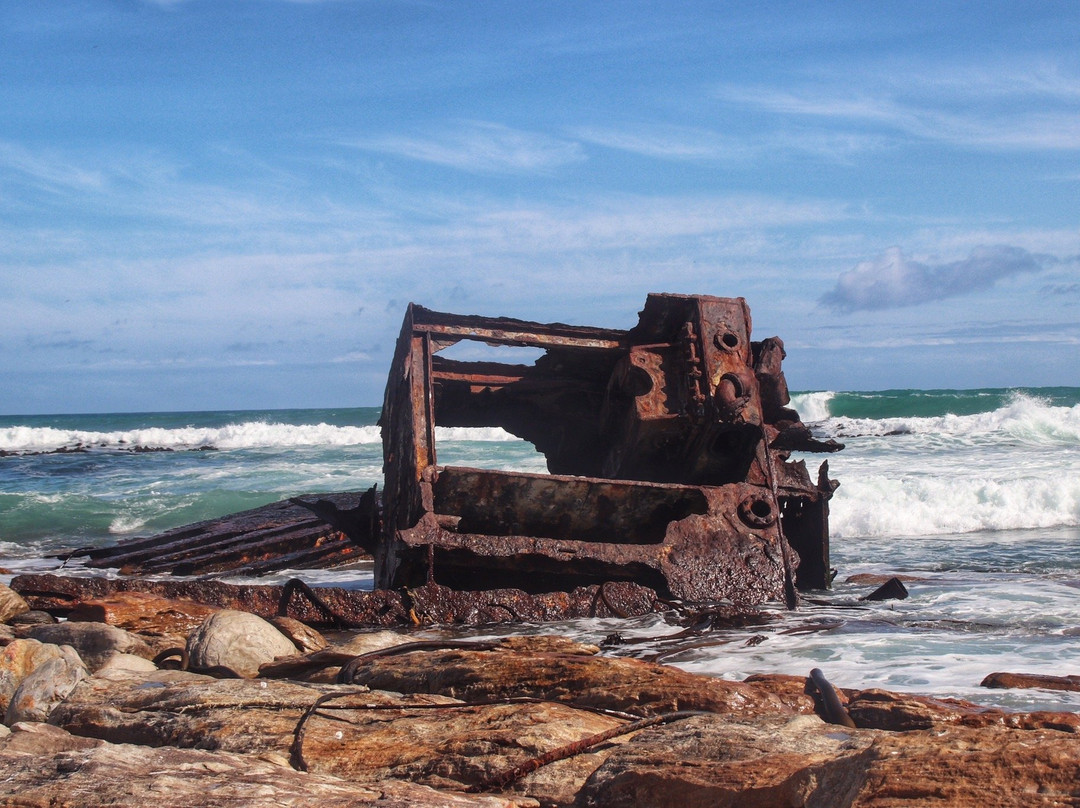 Olifantsbos Beach-Cape Point必去景点