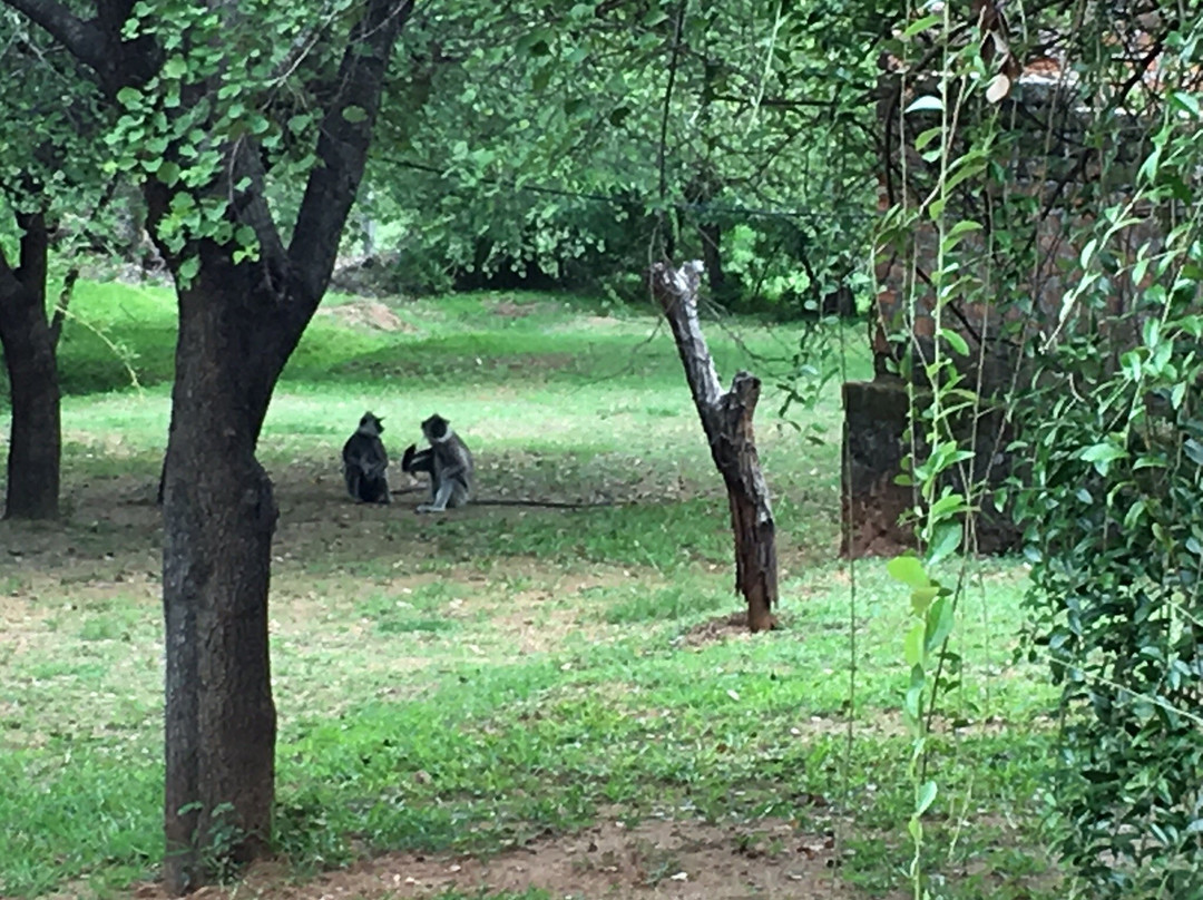 克莱哈特村庄酒店主图