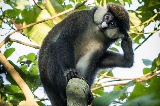 Expedite Wildlife Tours