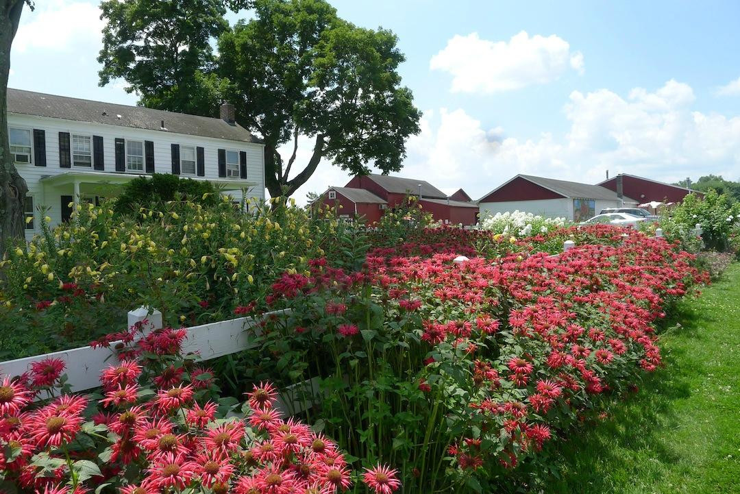 Terhune Orchards & Winery景点图片