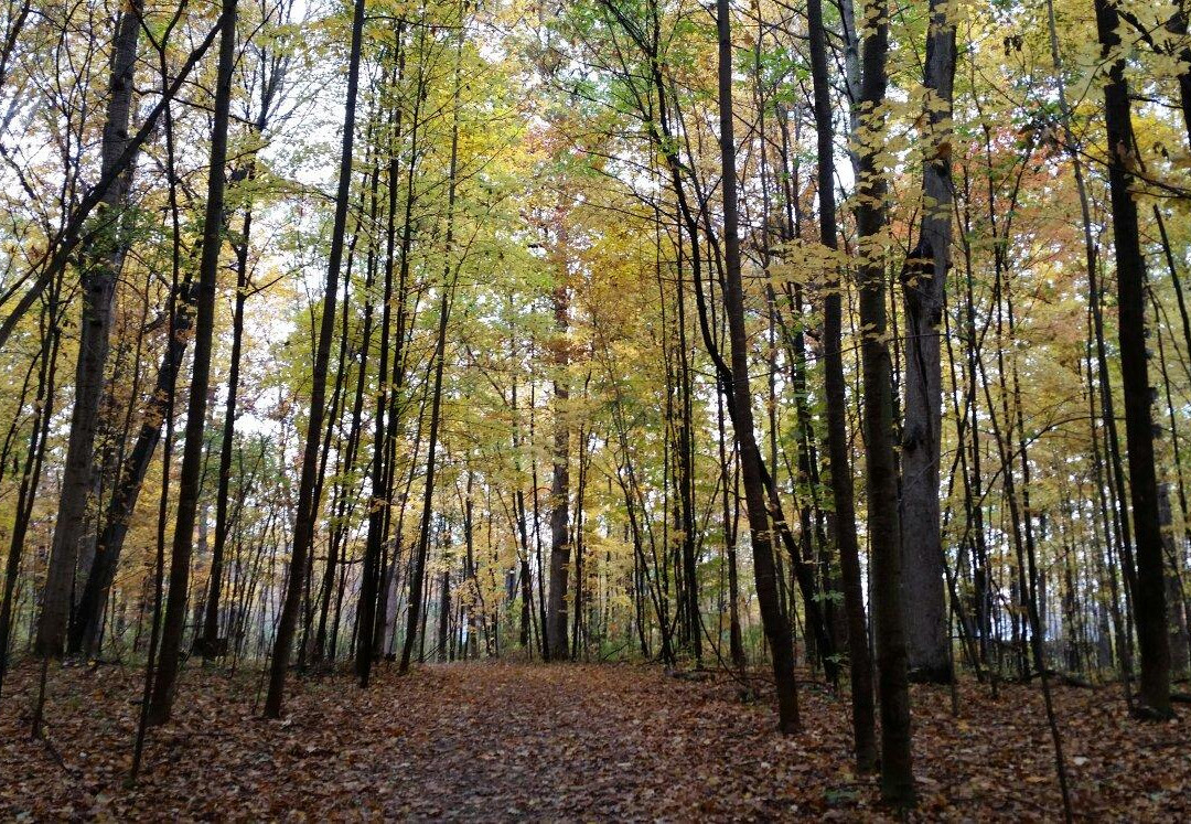 Oakwood Metropark Nature Center景点图片