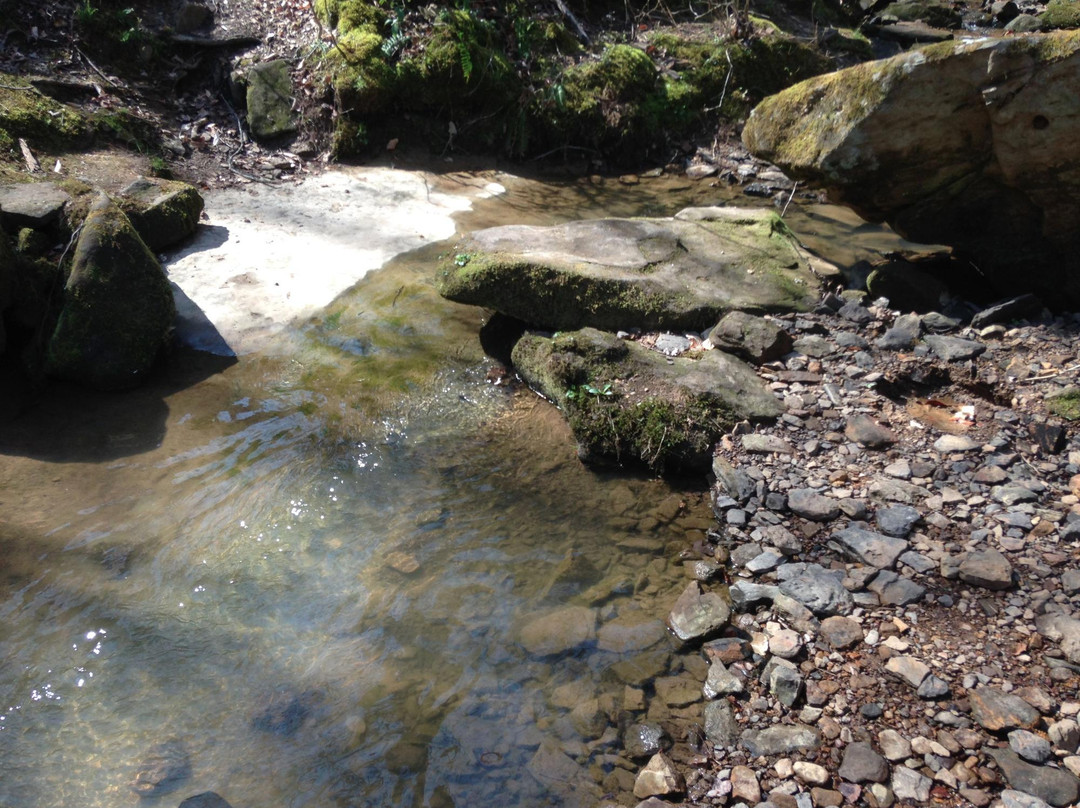Shanty Hollow Lake Hiking Trail