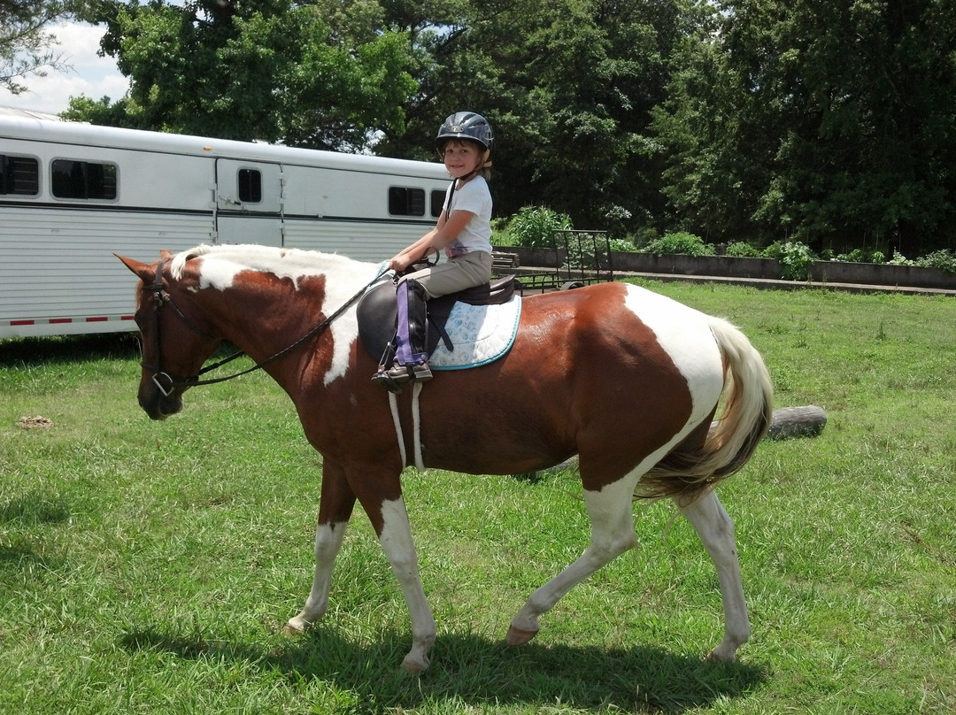 Highland Horse Farm-Middleburg必去景点