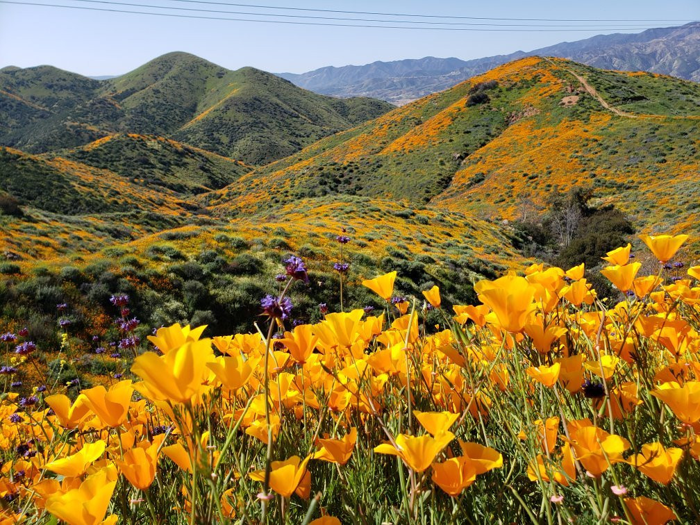 Walker Canyon Trailhead