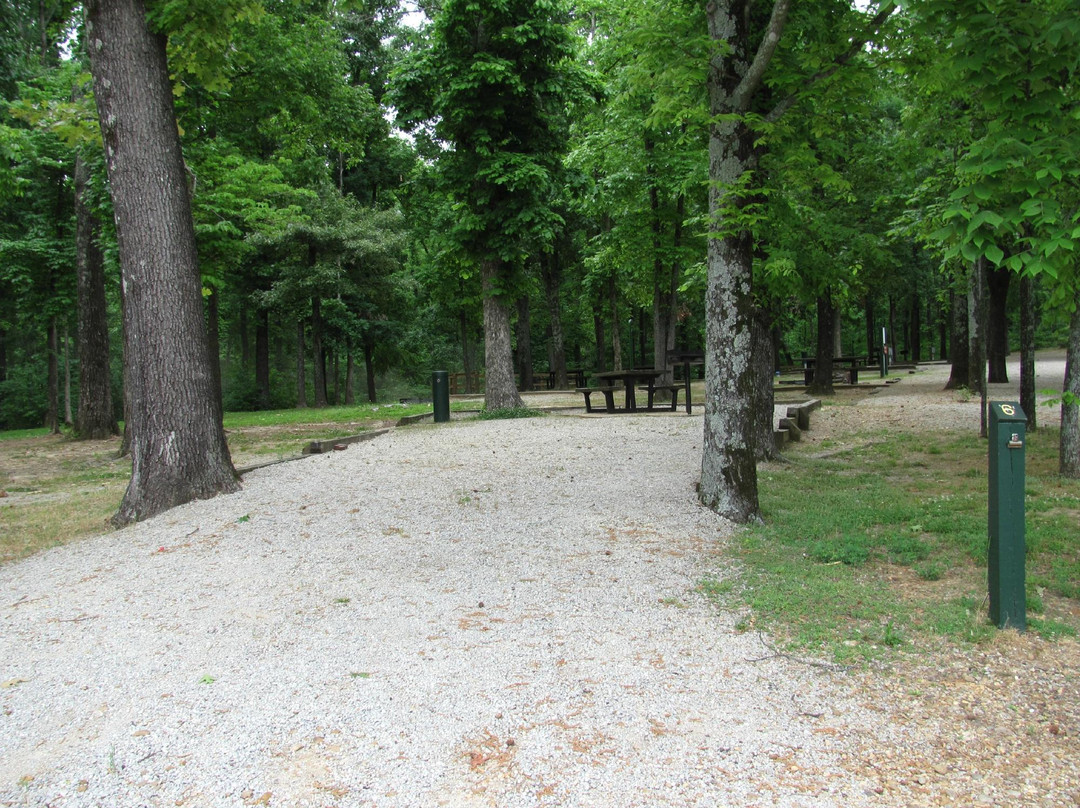 Lake Frierson State Park景点图片