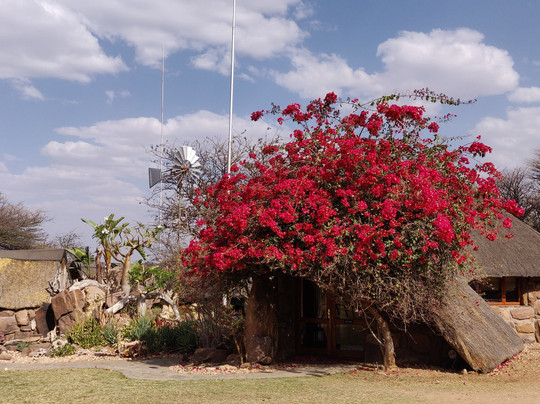 Kalahari Bush Breaks主图