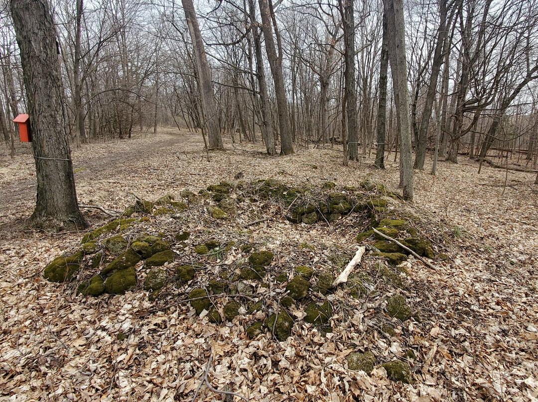 Badger Hut Trail景点图片