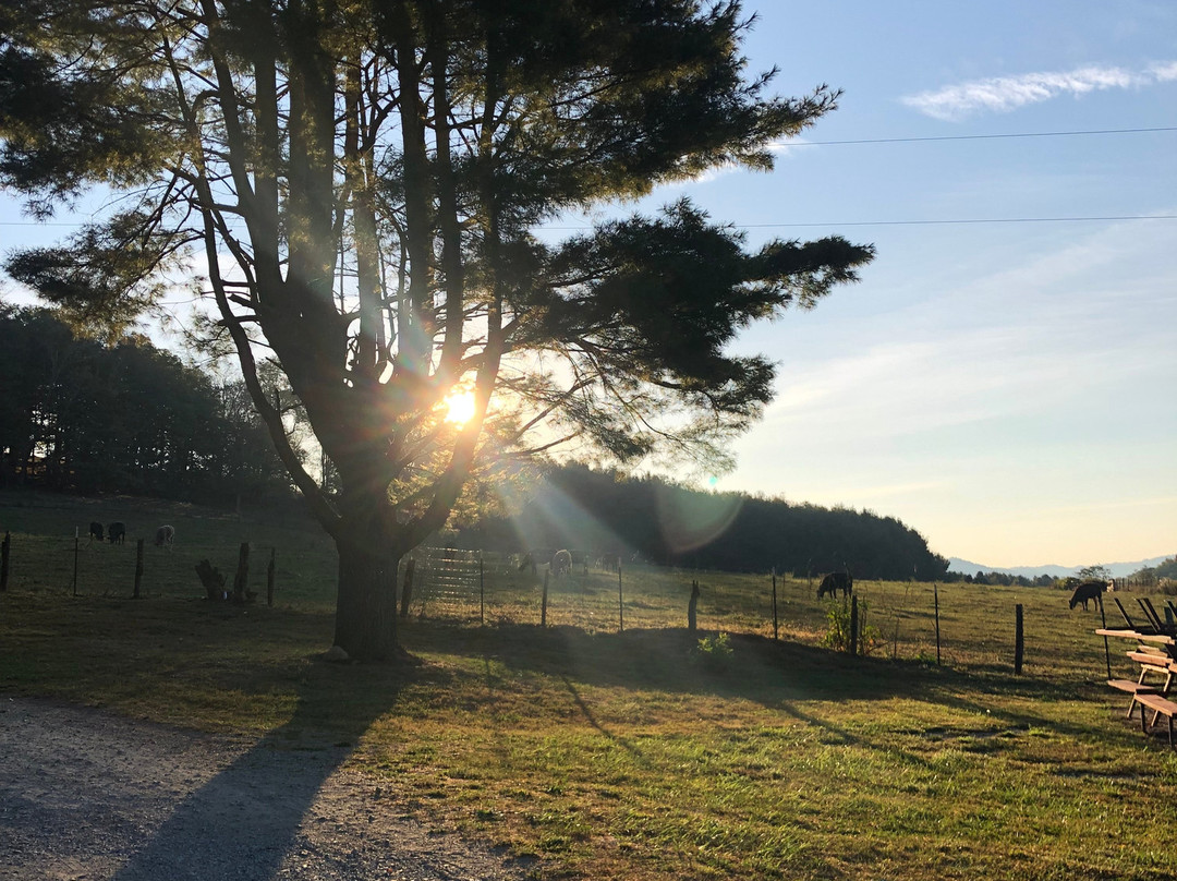 Boone KOA