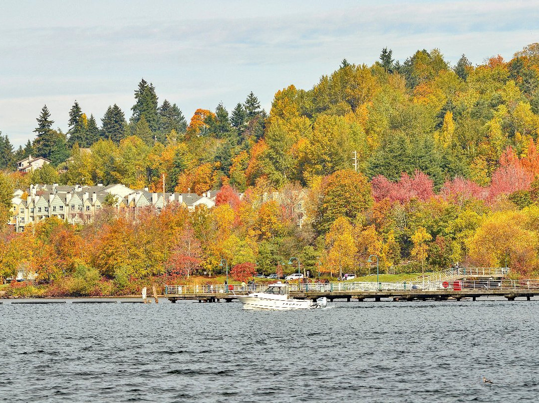 伦顿旅游景点-Gene Coulon Memorial Beach Park