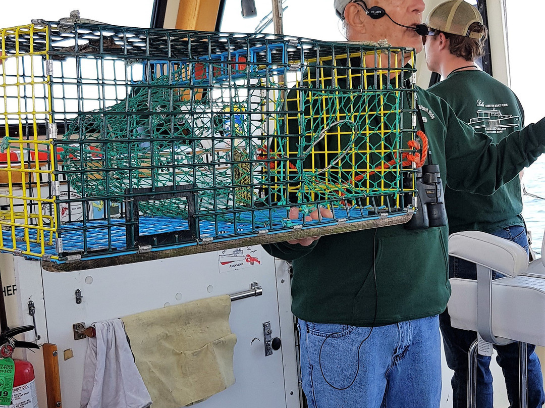 Bar Harbor Boat Tours-巴港必去景点