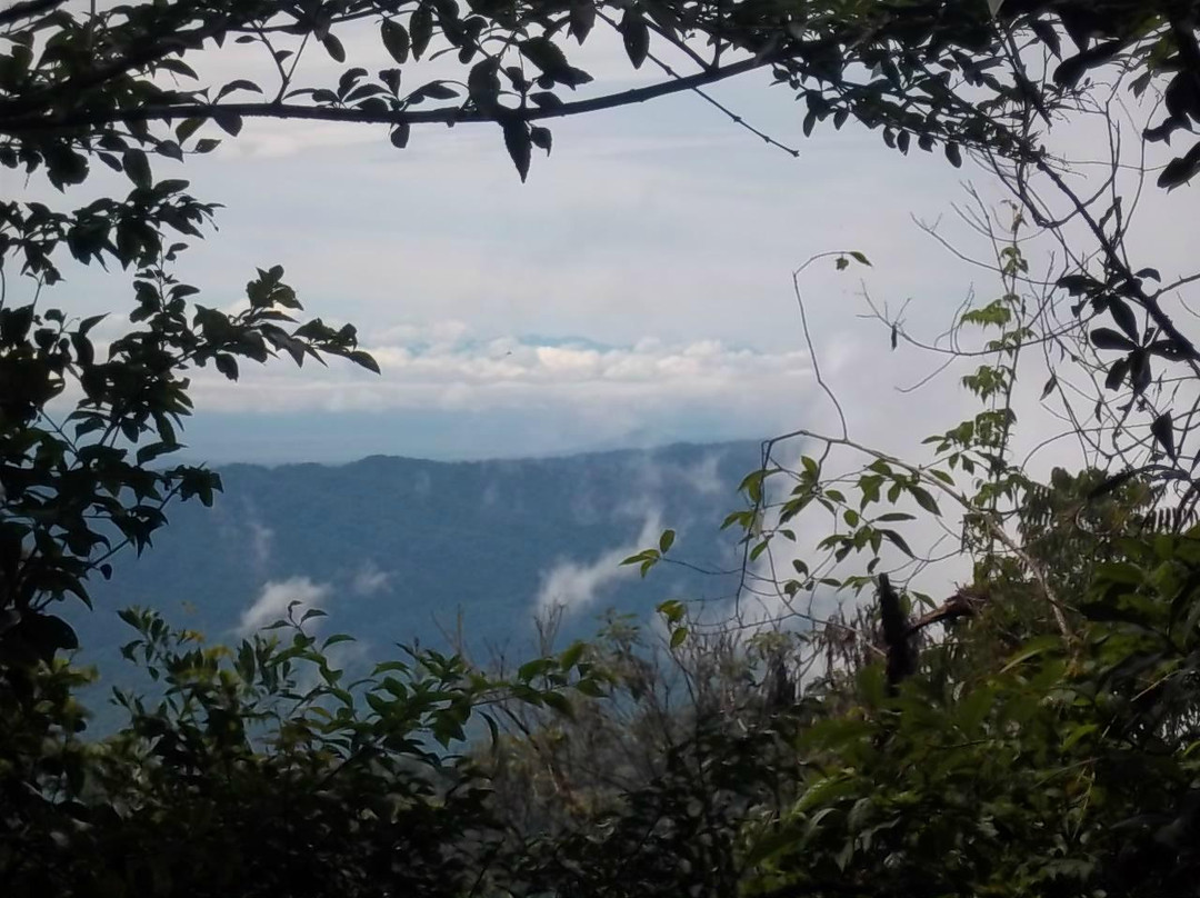Sendero Bosque del Cielo景点图片