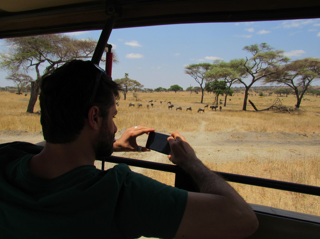 ​Rokini Tanzania Safaris-阿鲁沙必去景点