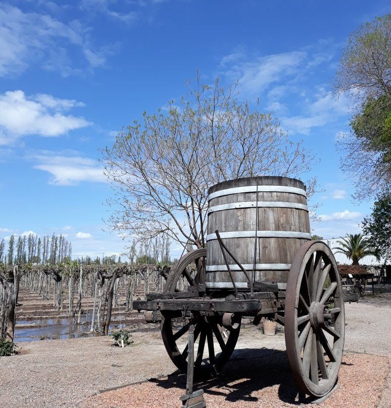 Museo del vino景点图片