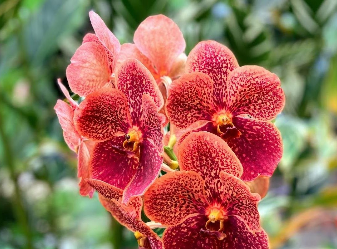 Island Journeys-法哈多必去景点