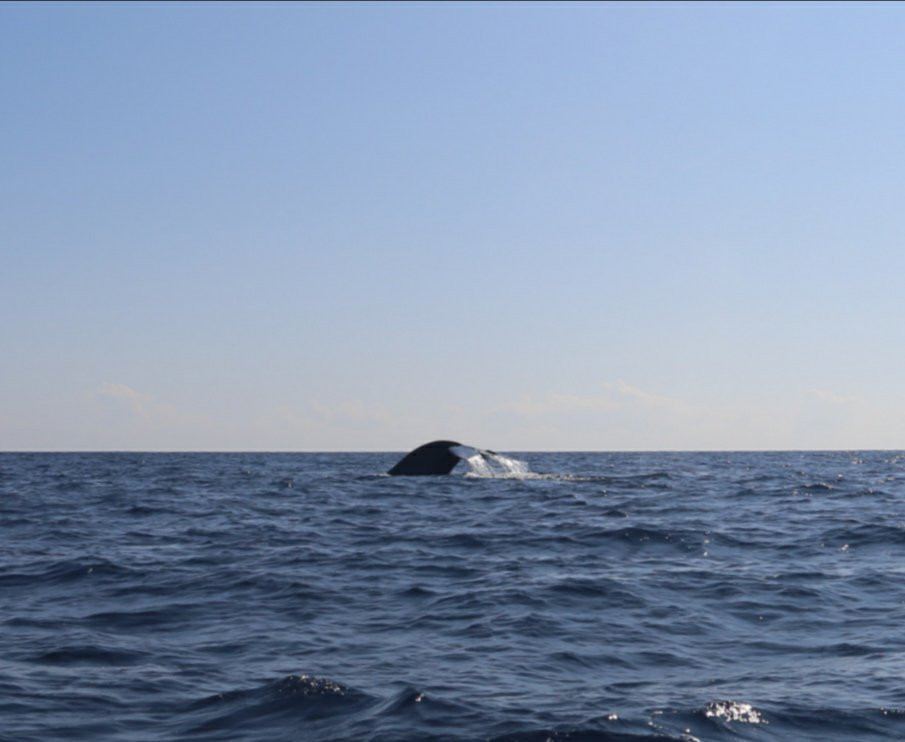 Trinco Eddi-Trincomalee必去景点