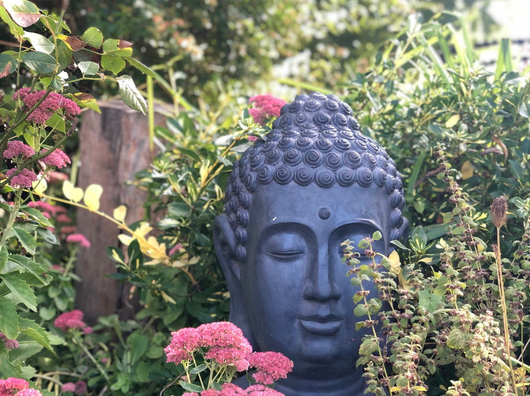 Under The Lime Tree主图