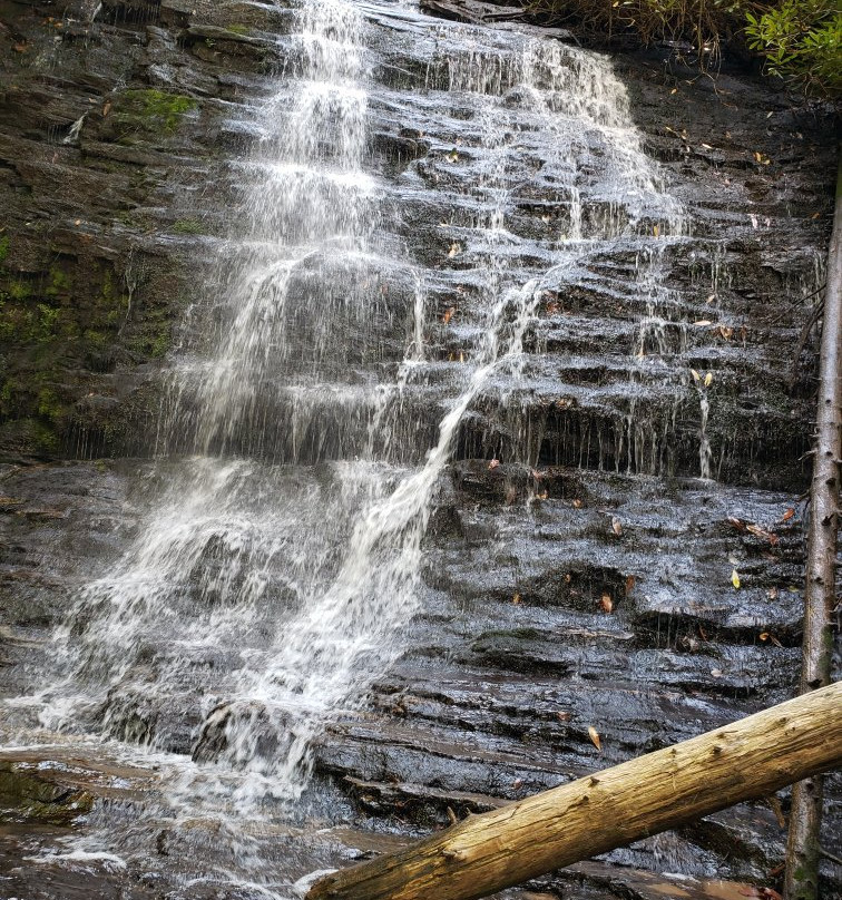 Spoonauger Falls景点图片