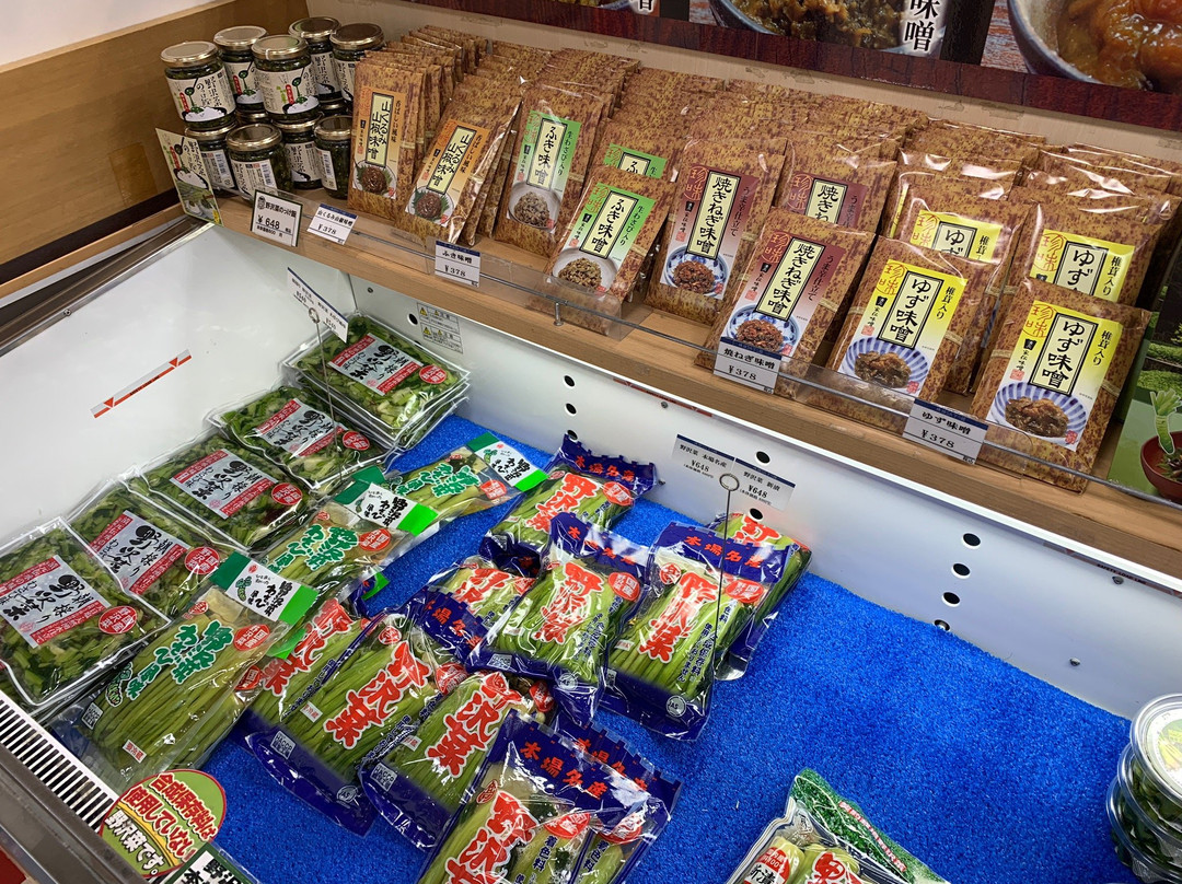 Obasute Service Area Outbound-千曲市必去景点