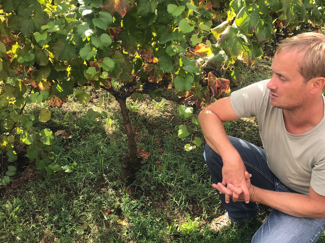 TranspOnyx-尼斯必去景点