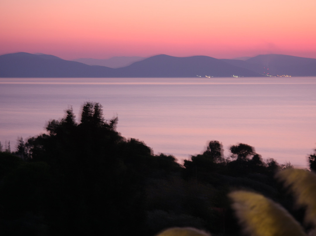 Pantheon Hotel & Suites主图