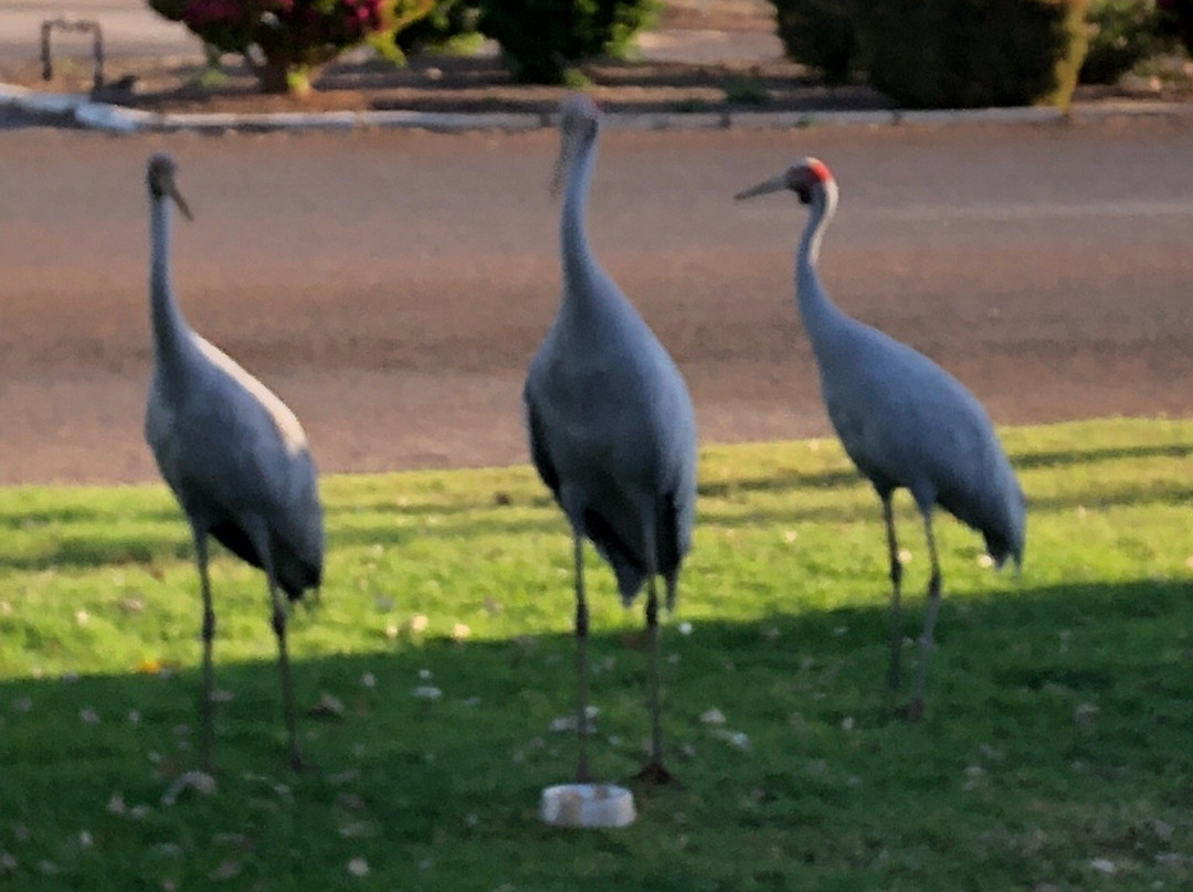 Winton Outback Motel主图