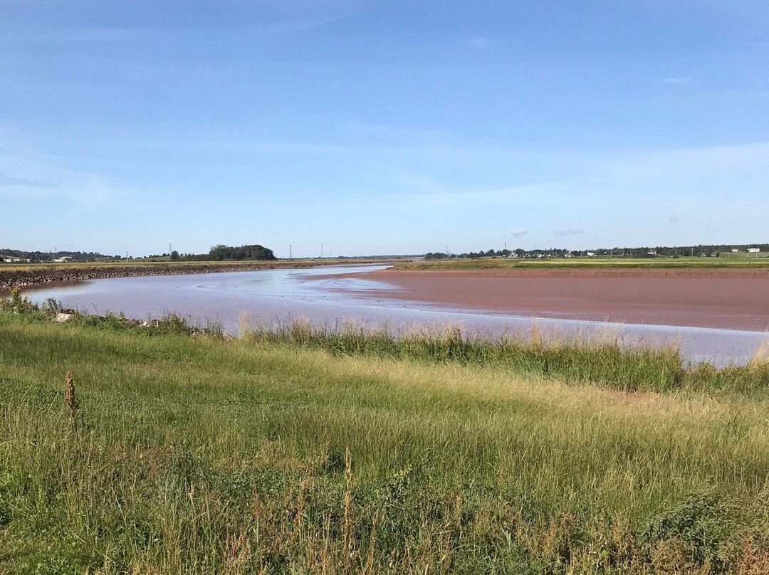 Willow Bend Motel主图